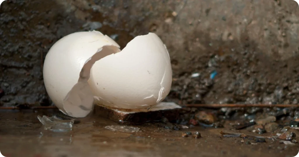 what-does-breaking-an-egg-mean
