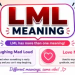 LML Meaning in Text lml-meaning